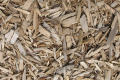 biomass boilers Dunlop
