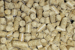 Dunlop biomass boiler costs