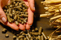 free Dunlop biomass boiler quotes